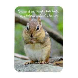 Super Cute Chipmunk Friendship Quote Magneet