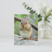 Super Cute Chipmunk Posing Sweetly Briefkaart (Staand voorkant)