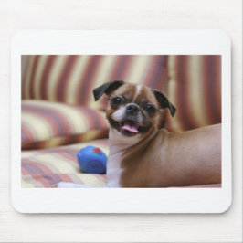 Super Cute dog met haar favoriete bal Muismat