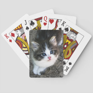 SUPER CUTE Kitten Pokerkaarten