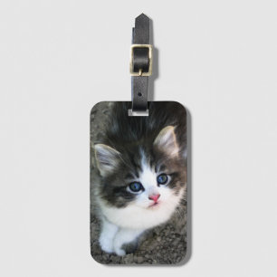 SUPER CUTE Kitten Portret Bagagelabel