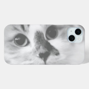 SUPER CUTE Kitten Portret Foto iPhone 15 Mini Hoesje