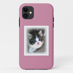 SUPER CUTE Kitten Portret Foto iPhone 11 Hoesje