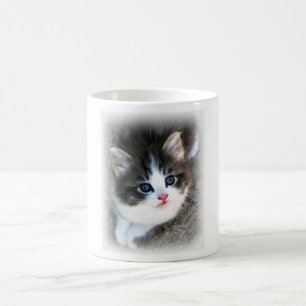 SUPER CUTE Kitten Portret Foto Koffiemok
