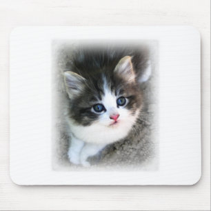 SUPER CUTE Kitten Portret Foto Muismat