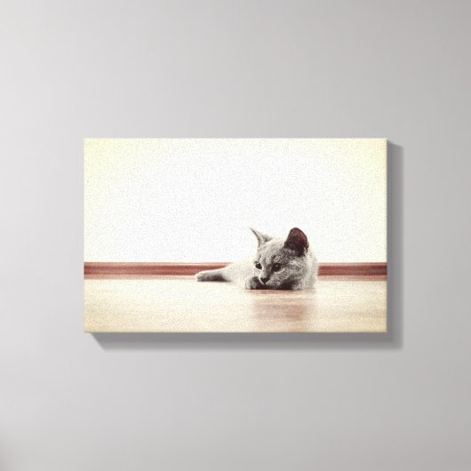 SUPER CUTE Kitten Portret - stijl Canvas Afdruk (Voorkant)