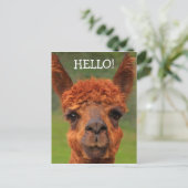 Super Cute Llama Hallo Briefkaart (Staand voorkant)