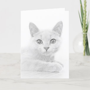 Super Cute Scottish Fold Kitten Cat Feestdagen Kaart