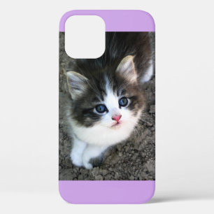 SUPER CUTE Stray Kitten iPhone 12 Hoesje
