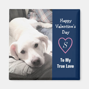 Super Cute Valentijnsdag Navy Blue Dog Magneet