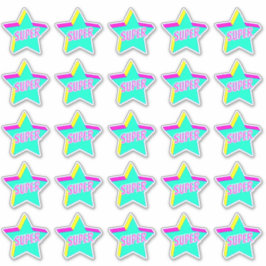 Super Fun Star Teacher Reward Commentaar Stickers