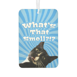 Super Funny Cat Luchtverfrisser