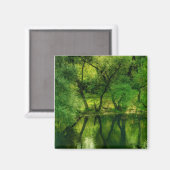 Super Green River / Lac Arbres Reflet Aimant (Recto/Verso)