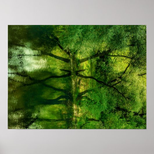 Super Green River Trees Reflection A3 Poster (Voorkant)