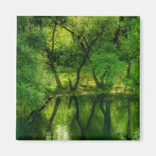Super Groene Rivier / Meer Bomen Reflectie Magneet