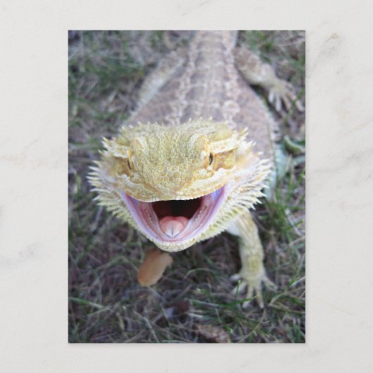 Super Happy Bearded Dragon Briefkaart (Voorkant)