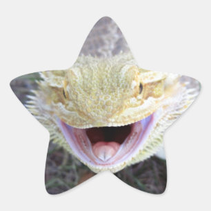 Super Happy Bearded Dragon Ster Sticker