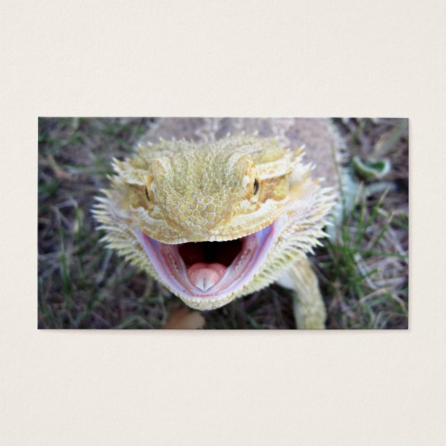 Super Happy Bearé Dragon (Devant)
