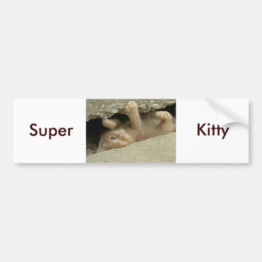 Super Hero Kitty Cat Bumpersticker (Voorkant)