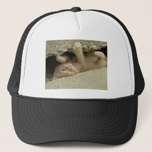 Super Hero Oranje Tabby Kitten Trucker Pet (Voorkant)