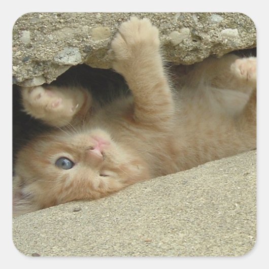 Super Hero Oranje Tabby Kitten Vierkante Sticker (Voorkant)