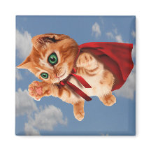 Super Kat