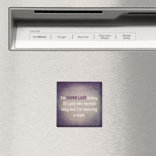 SUPER LAZY MAGNEET (Insitu (Vaatwasser))