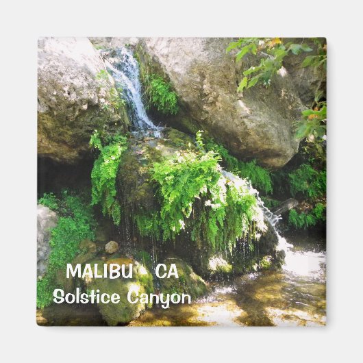 Super Malibu Magnet ! (Devant)