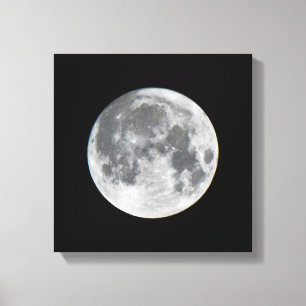 Super Moon Mendota Heights Minnesota Canvas Afdruk