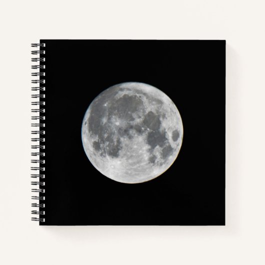 Super Moon | Mendota Heights Minnesota Notitieboek (Voorkant)