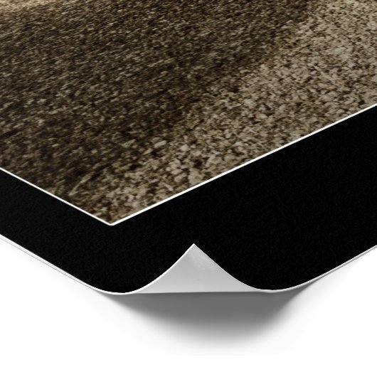 SUPER POSTER OVAL (Coin)