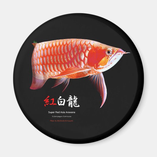 Super Red Arowanaの冷蔵庫マグネット,No.01 Magneet (Voorkant)