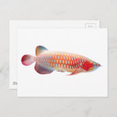 Super Red Arowana Briefkaart (Voorkant / Achterkant)