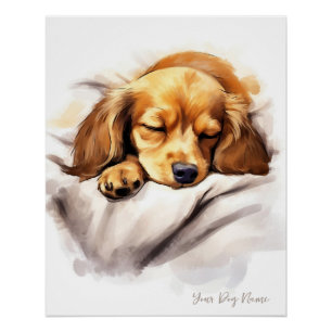 Super schattige engel slapende pup Dachshund Dog 0 Perfect Poster
