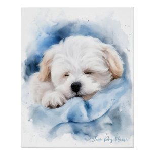 Super schattige engel slapende pup Maltezer Hond 0 Perfect Poster