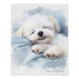 Super schattige engel slapende pup Maltezer Hond 0 Perfect Poster
