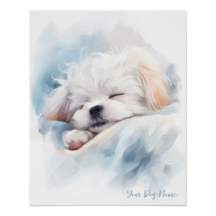 Super schattige engel slapende pup Maltezer Hond 0 Perfect Poster