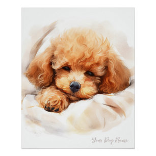 Super schattige engel slapende pup Poodle Dog 003 Perfect Poster