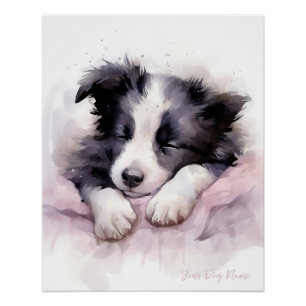 Super schattige engel slapende puppy Border Collie Perfect Poster