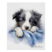 Super schattige engel slapende puppy Border Collie Perfect Poster (Voorkant)