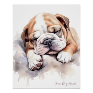 Super schattige engel slapende puppy Bulldog 001 - Perfect Poster