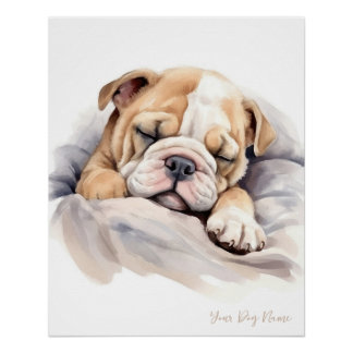 Super schattige engel slapende puppy Bulldog 003 - Perfect Poster