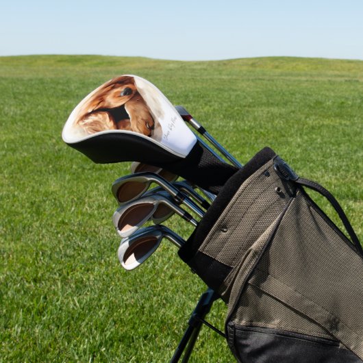 Super schattige engel slapende puppy Cocker Spanie Golfheadcover (Insitu)