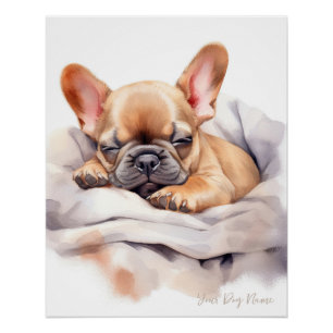 Super schattige engel slapende puppy Franse Bulldo Perfect Poster