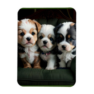 Super Schattigee Puppies op de bank 2 Magneet