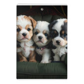 Super Schattigee Puppies op de bank 2 Mini Klembord (Achterkant)