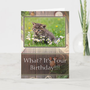 Super Suprisé Joyeux Carte photo de Kitten anniver