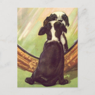 Super Sweet  Baby Boston Terrier Briefkaart