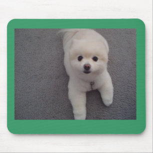 Super Tiffany Muismat