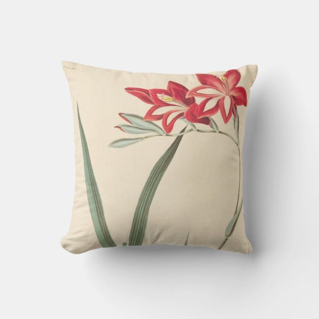 Superb Corn-Flag Kussen (Voorkant)